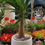 فروشگاه زنانه یونیک