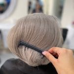 خدمات و آموزش رنگ ولایت به سبک استادمنیر