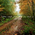 دکتر مشاور و روانشناس فرشته شفیعی
