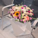 معصومه قلندری وکیل پایه یک دادگستری