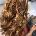 رنگ و لایت درنا