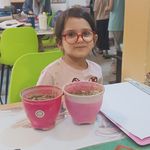 ریاضیات کانگورو