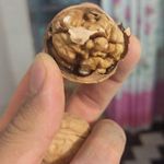خشکبار فروشی امین