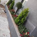 خدمات باغبانی هرس کاری گلکاری سمپاشی