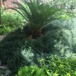 شرکت سمپاشی شیمی گستر