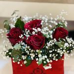 گالری گل ساحل