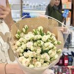 گالری آرایشی و بهداشتی دکتر فلورا