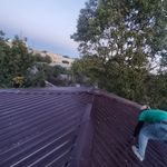 حامی گستر اندیشه