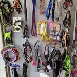 میلو پت شاپ (دماوند)