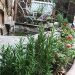 کافه رستوران سنتی سپهسالار