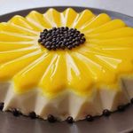 ژله و دسر و حلوا و کیک های کافی شاپی