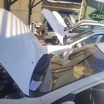 شستشوی کاتالیزوز و کربن زدایی