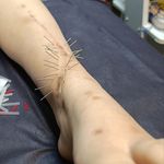 کلینیک فیزیوتراپی تسنیم