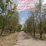 مشاور املاک قاضی اسدالهی