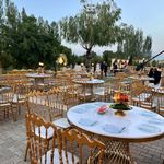 ظروف کرایه دیانا