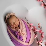 آتلیه عکاسی مینیاتور