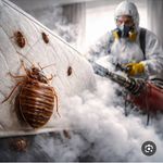 شرکت نوین برتر با مجوز رسمی