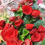 دهکده گل آیریس کرج