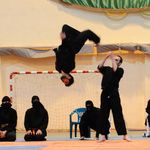 نینجوتسو باشگاه رزمی