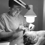 کلینیک حیوانات خانگی ارامیس (عقیم سازی)