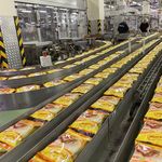 کارخانه مواد غذایی نودالیت و ادویه