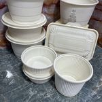 ظروف یکبارمصرف آرین