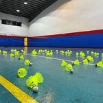 باشگاه بدمینتون اصغری
