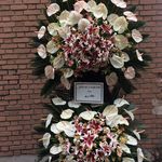 تاج گل انلاین باغ ارم