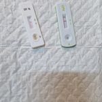 کلینیک دامپزشکی پاندورا