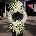 گل فروشی دنیز آنلاین (شعبه 2)