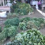 سبزی فروشی مهدی آذرنگان