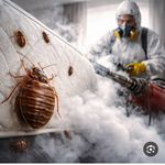 شرکت نوین برتر با مجوز رسمی