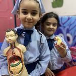 پیش دبستانی و مهدکودک دنیای پروانه