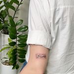 خدمات تخصصی آرایش دائم و تتو شکوه قاسمی