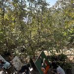 موسسه هنری الهه حسنی ( الهه وصال هنر)