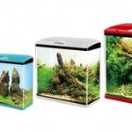 اکواریوم و ماهی تزئینی ستاره