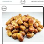 بازرگانی خرما رحیمی (ارگانیک شادگان )