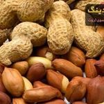 انواع ادویه درجه یک هندوستان،ترکیه امید