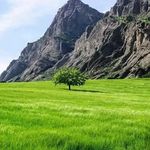 کلینیک ترک اعتیاد طبیبستان