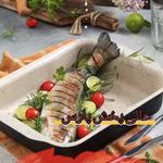 شرکت عالی پخش پارس