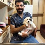 کلینیک دامپزشکی جزیره حیوانات