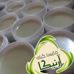 شرکت گیاهان دارویی  مایسا گیاه ارنیکا