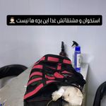 بیمارستان دامپزشکی اطلس