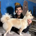 خدمات آرایشگری حیوانات خانگی عرب حلوایی