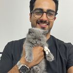 بستری و پانسیون حیوانات وتنست