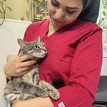 کلینیک دامپزشکی فراپت