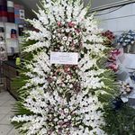 تاج گل باکس گل ارکیده