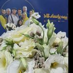 کارشناس بیمه پاسارگاد