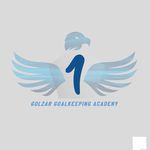 آکادمی فوق تخصصی دروازه بانی  پرنده آبی