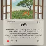 پانورا پنجره
